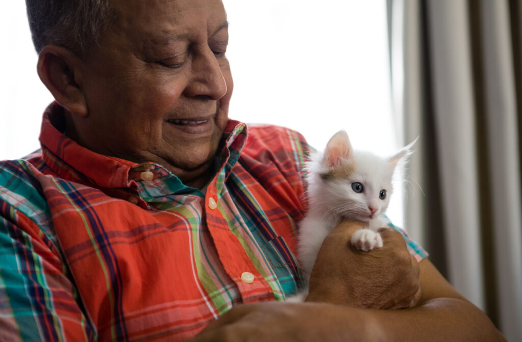 An older man smiling and looking down at a white kitten in his arms