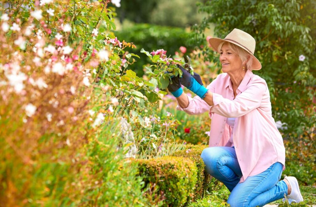 A senior is working in an independent living garden, trimming the flowers with a smile on their face.